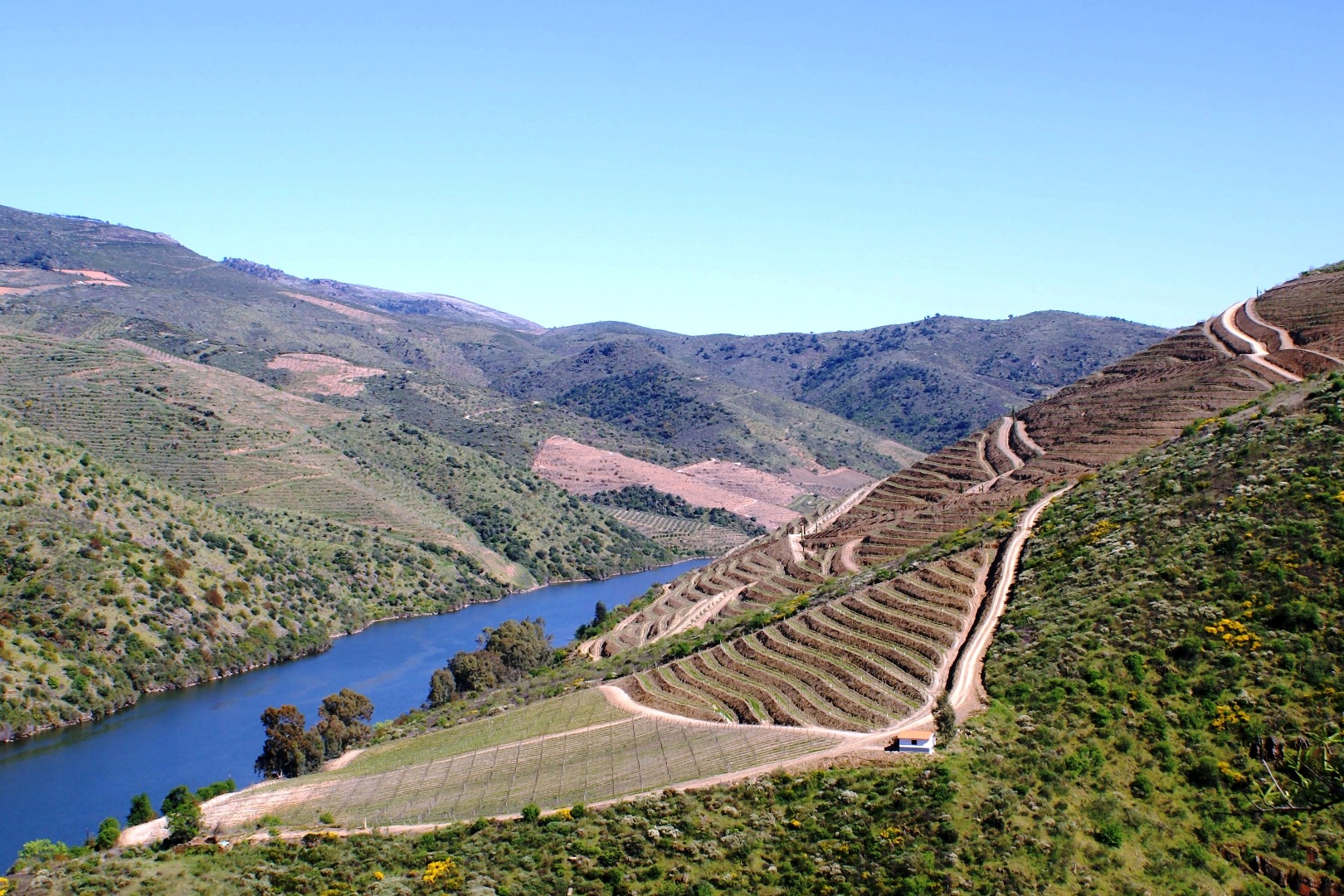 VALLE DEL DOURO PORTOGALLO, VINO PORTO , PORTOGALLO  | Douro Superiore Porto, Cima Corgo, Baixo Corgo